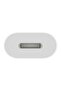 USB-C to Lightning Adapter - 6