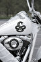 Snake Car Sticker – Cobra Car Sticker - Car Windshield Hood Sticker 15X14Cm - 2