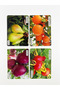 50 Cards Illustrated Fruits and Vegetables Educational English Language Intelligence Toy Card Game - 4