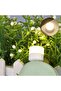 Mini Size USB Lighting LED Eye Protected Reading Light Mini LED Easy to Use USB Night Light - 5