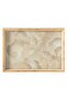 Shine Decorative Tray 31X42 cm
