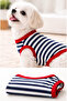 Navy Blue Striped Cherry Printed Dog T-Shirt Dog Apparel (100% Combed Cotton) - 3