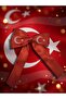 Turkish Flag and M.K. for Children's Day on April 23 Ataturk Patterned 4 Model Bow Hair Clips - 3