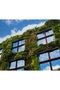 Mirrored Window Film 30cm X 2 Meters, for Home, Office, Balcony - 5