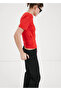 Britli Straight Cut Pants - 6