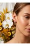 Baqu Model Zircon Detailed Earrings