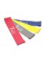 4-Color Resistance Band Set,4-50LBS,Non-Slip