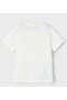 Boys 3041 Animal Skateboard T-Shirt Gkm0143 - 2