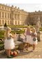 Girl's Fabric Tutu Skirt and Tutu Sleeve Fluffy Dress Hair Crown Bag Set of 3 - 7