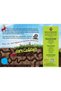 Cooperation game - Ant colony - 2