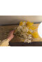 Natural Dried Flower Bouquet Large Size Bunch for Home Decoration Natural Bunch - 6