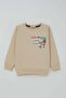 Boys' Tracksuit Set with Dinosaur Camp Back Print Detail, Ages 2-6, Cream - 2