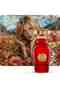 FLORIENTAL VANILLE - Ins-Roberto Cavali Perfume For Women | Eau De Parfum - 75ml | Travel Size