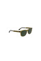 نظارات شمسية L6060S-264 54-17-150 - 3