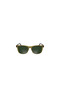نظارات شمسية L6060S-264 54-17-150