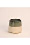 Caligo Espresso Cup