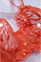 Orange Transparent Bra Set - 4