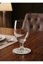 Transparent Glass Goblet - with Foot, Stylish Design, Water, Beer, Soft Drink Glass 360 ml Set of 4 - 4