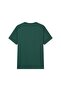 Men's Slim Fit Lion Graphic Tee - 2