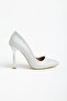 801 Silver Palermo Pointed Toe Heeled Women's Shoes - 5