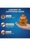 Bait Al Arab Cambodi Oudh 100g | Long Lasting Arabian Premium Cambodian Agarwood Chips - 3