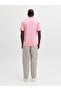JJBRANDON POLO SS - 6