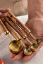 4Pcs Gold Stainless Steel Wooden Handle Measuring Spoon Set Measuring Cup 1.25ml 2.5ml 5ml 15ml