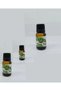 GEBECE 10 ML ELMA (BITKISEL) YAĞ - 2