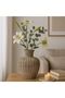 Terracota Amphora Vase Antique Brown
