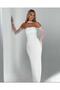 Strapless Dress with Arm and Neck Accessories
