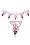 10-Piece Pink Triangle 2-Year-Old Pennant with Star-Balloon Pattern Birthday Pennant, Party Pennant Flag (22Cmx1.5M) - 2