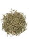 Pine Leaf Needle - 3