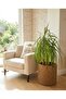 Handcrafted Decorative Brown 30X30Cm Plant Pot Cover Decorative Natural and Stylish - 8