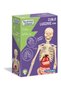 Corpul Uman Mini 50515 - 7