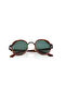 DAZZLE III C03 48-24 - 4