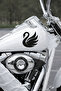 Swan Figured Car Sticker - Elegant Swan Design - Auto Motor Sticker 15X15Cm - 5