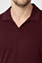 Vita Men's Burgundy Modal Fabric Slim Fit Flexible Polo Collar T-Shirt - 2