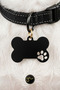 Cat Dog Tag – Paw & Bone Design Collar Tag