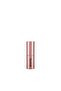 Portable Brush - 2