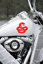 Snake Car Sticker – Cobra Car Sticker - Car Windshield Hood Sticker 15X14Cm - 4