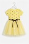 Baby Girl Heart Patterned Lined Tutu Skirted Summer Dress, Birthday and Special Occasion Dress - 3