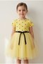 Baby Girl Heart Patterned Lined Tutu Skirted Summer Dress, Birthday and Special Occasion Dress - 2