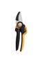 Garden Shears, for cutting tree branches, PTCS20250 - 2