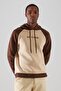 Stone Regular/Normal Cut Hooded Embroidered Color Block Sweatshirt Tmnaw22Sw0334 - 2