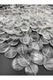 100Gr 25mm Flat Flat Round Transparent Acrylic Beads, Jewelry, Bag Making Beads (100Gr~40 Pieces)