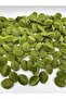 100gr Peanut Green, Green Color Flat Almond Model Velvet Beads Jewelry,Bag Making Bead (~32Pcs) - 2