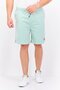 Men Drawstring Brand Logo Basic Shorts, Green