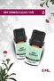 Indian Hyacinth Essential Oil (Nardostachys Jatamansi) 5 Ml. - 3