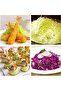 Cabbage Shredder, Vegetable Slicer with Stainless Steel Blade for Kitchen - 7