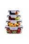 4 Pcs All in One Glass Container with Airtight Lids, Food Stoarge Containers, BPA Leak Free